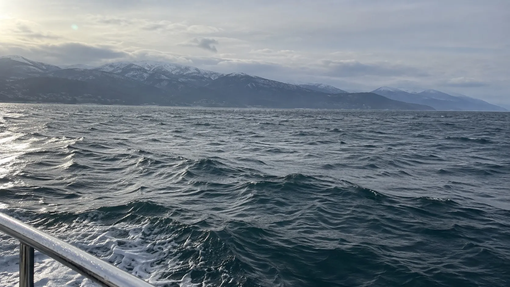 Январское море мористее прогулочных маршрутов: где-то под такой водой зимует и сельдь, но с палубы её не разглядеть