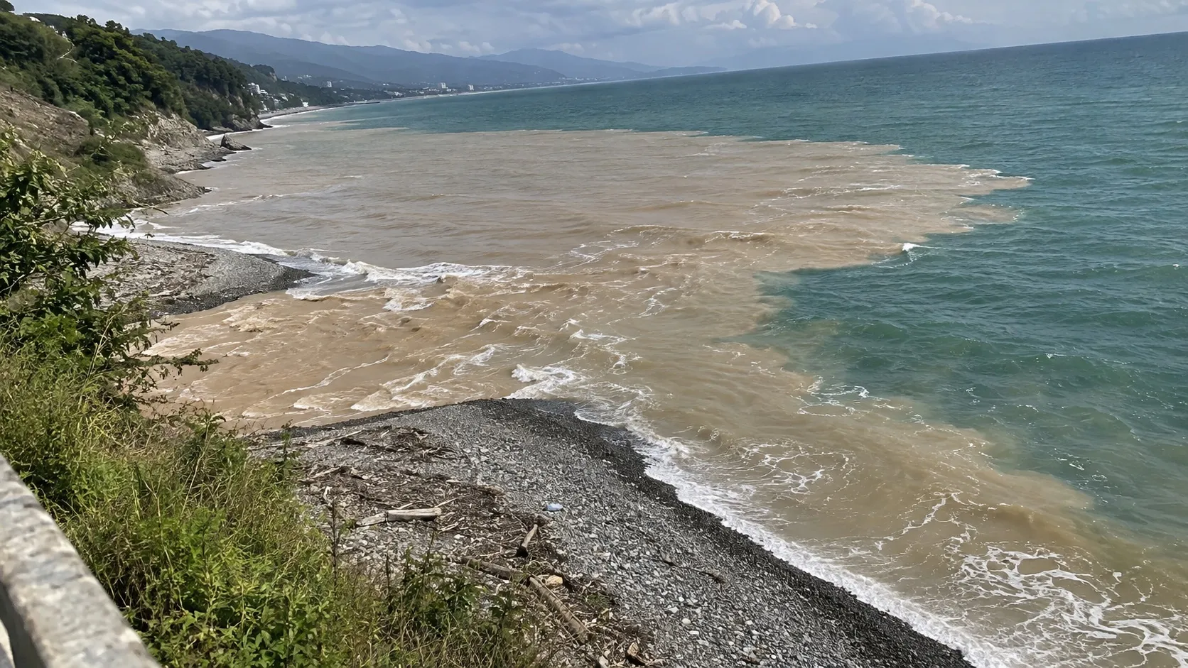 Мутный шлейф речной воды у устья: в опреснённом море гребешку не жить, ему нужна солёность 16–17 промилле