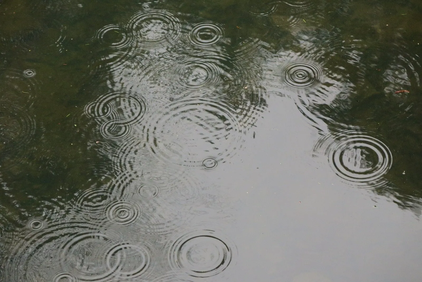 Кольца от капель на спокойной воде. Короткую рябь дождь гасит, а пологую волну, которая качает лодку, не трогает (фото: Patrick.Nordmann, Wikimedia Commons, CC BY-SA 4.0)
