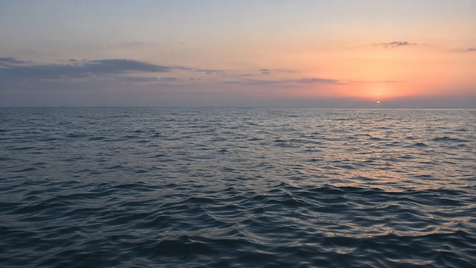Пустой рассветный морской пейзаж — спокойная вода и низкий бледный горизонт без единого судна