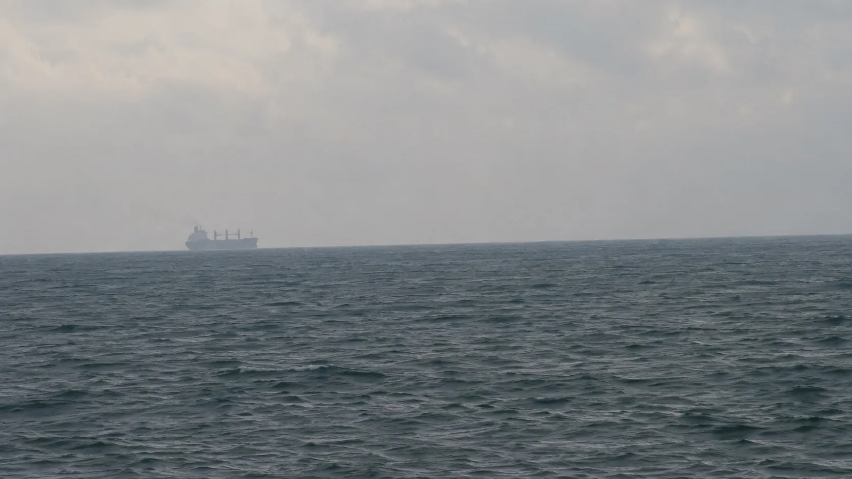 Сухогруз уходит в дымку к открытому морю: вода здесь общая для всех берегов, а с ней и популяция