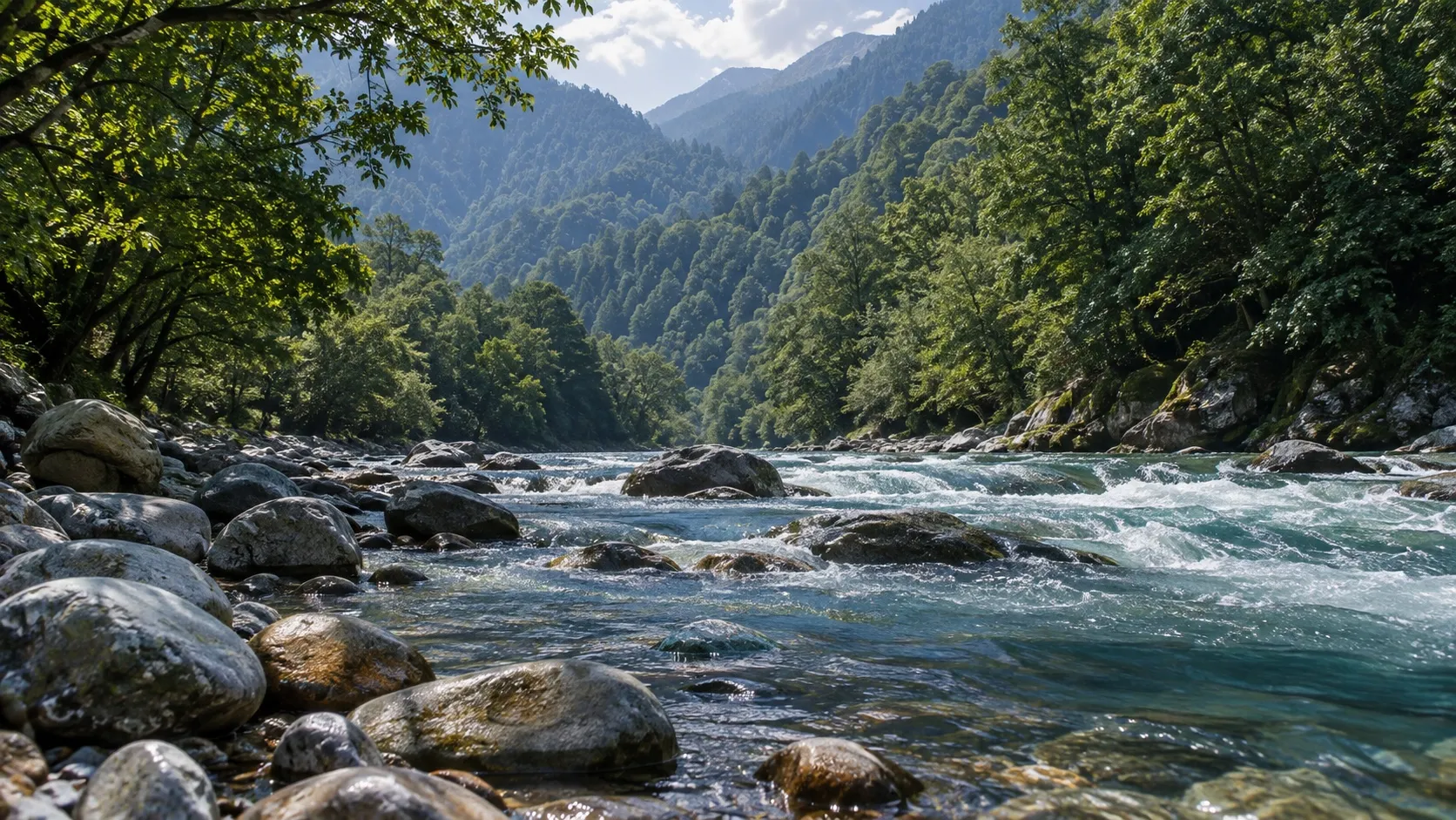 Мелкое горное русло с округлыми серыми камнями и быстрой прозрачной водой меж лесистых берегов