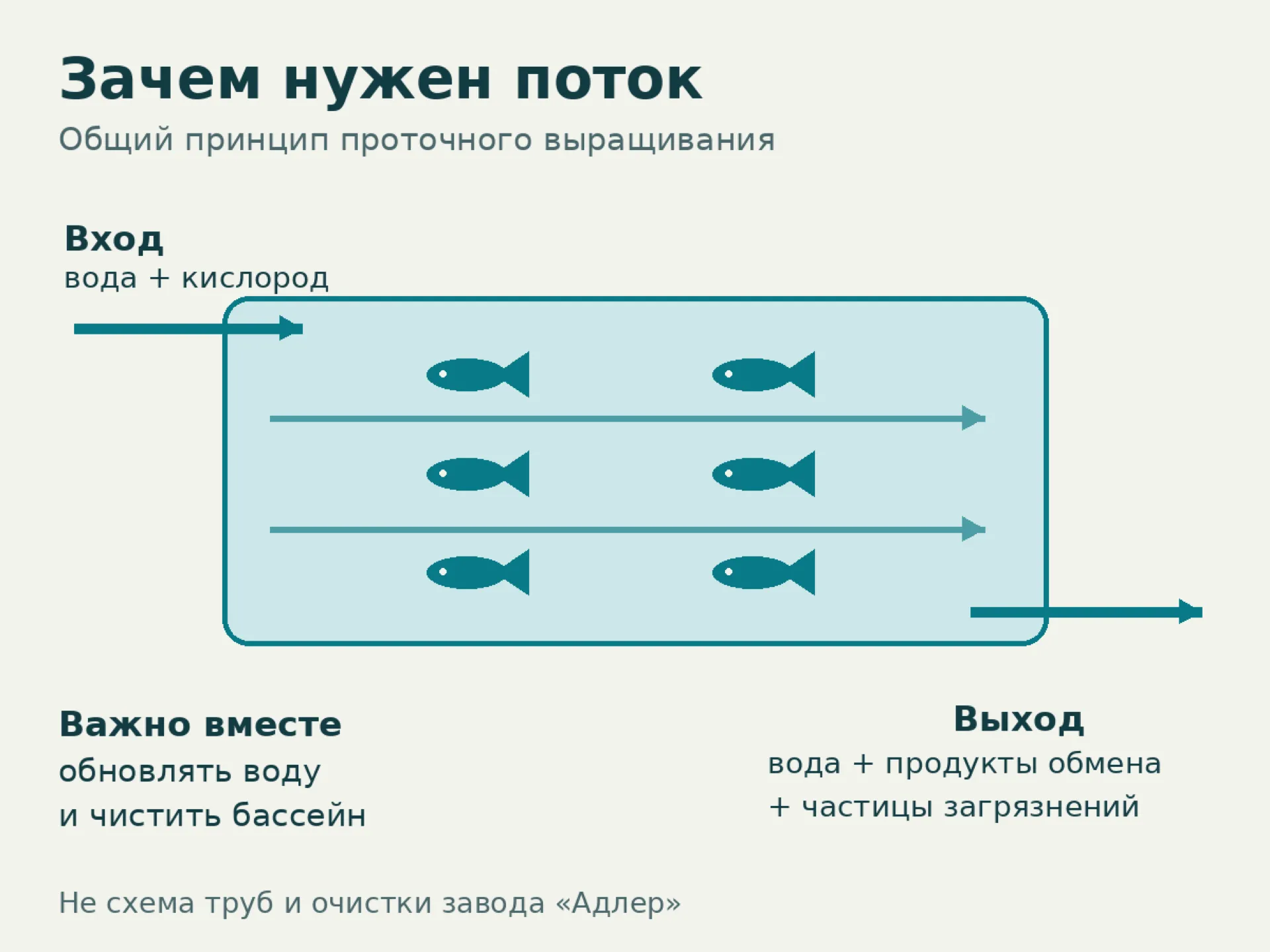 Общий принцип: поступающая вода приносит кислород, поток уносит продукты обмена; требуется очистка бассейна