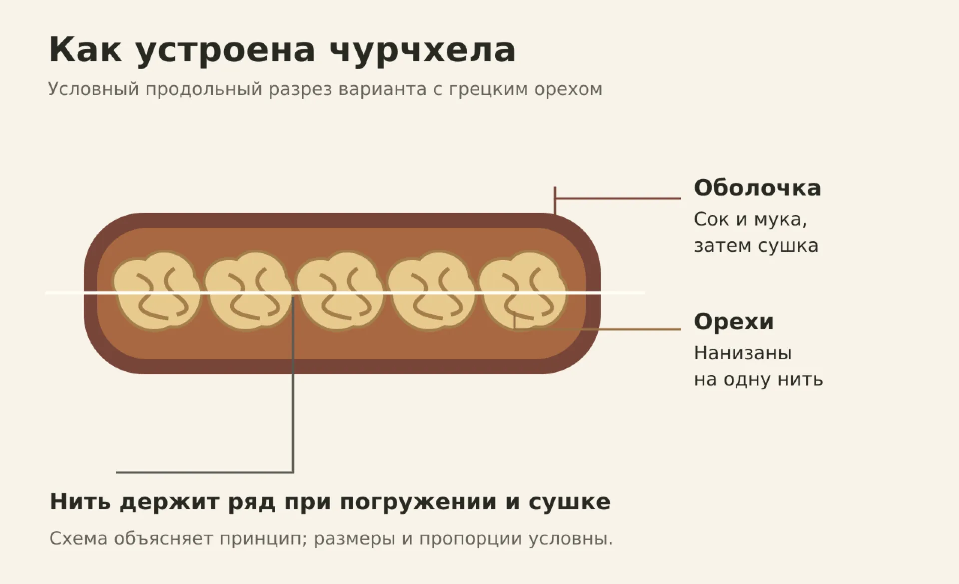 Схема орехов, нити и оболочки чурчхелы