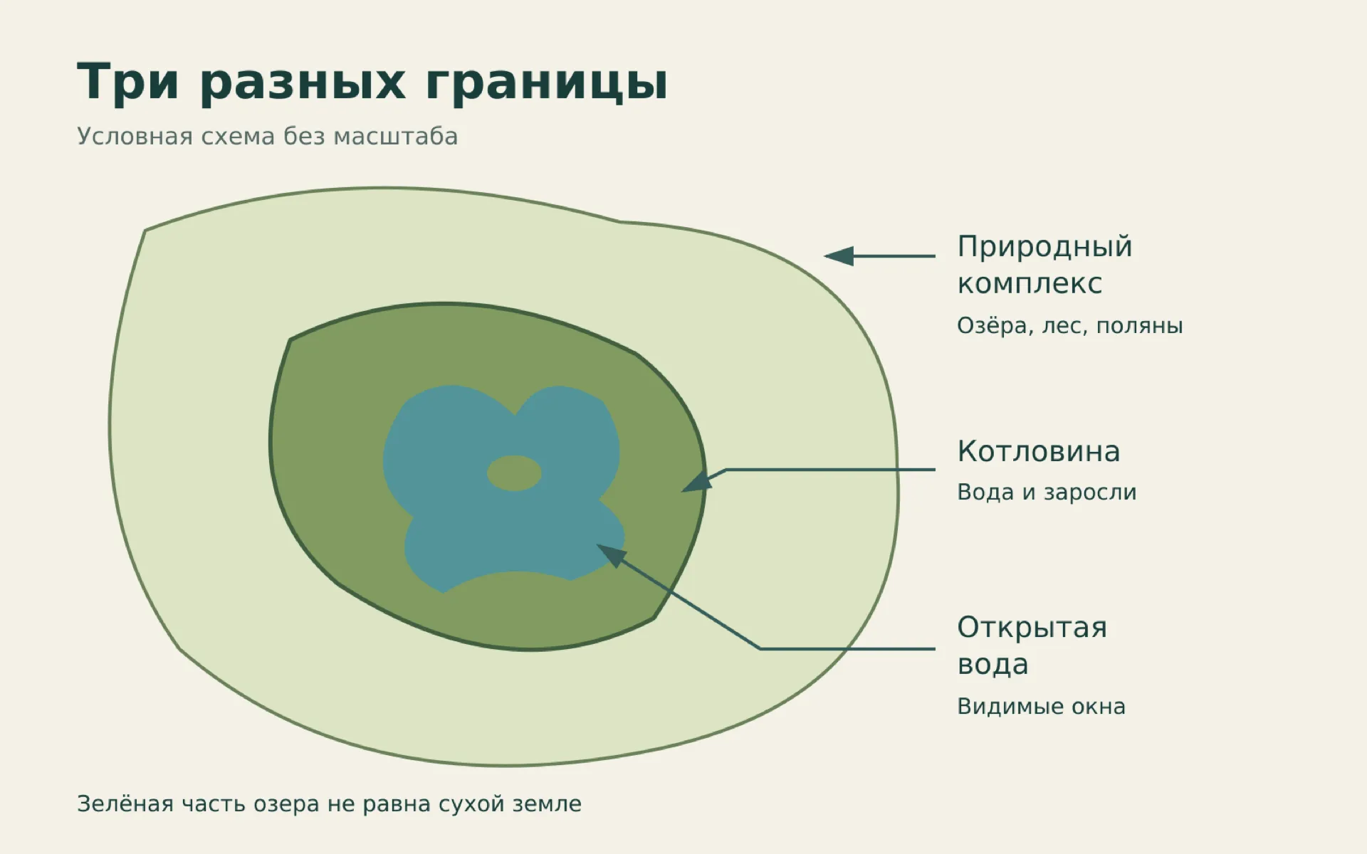 Условная схема различия территории природного комплекса, озёрной котловины и открытой воды