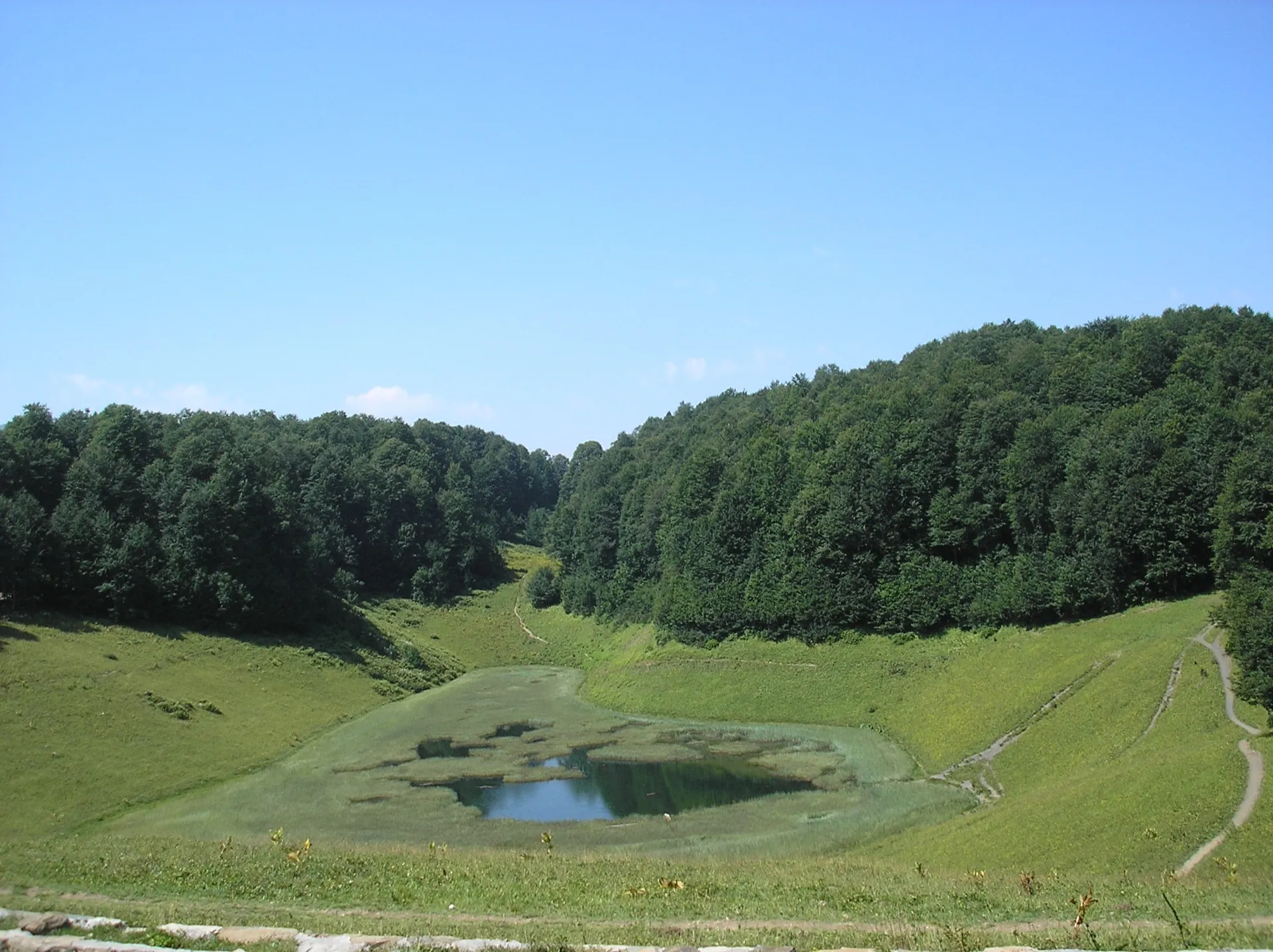 Хмелевское озеро (Lake Hmelevskoe), 14 августа 2006 года: зелёный растительный покров вокруг открытой воды