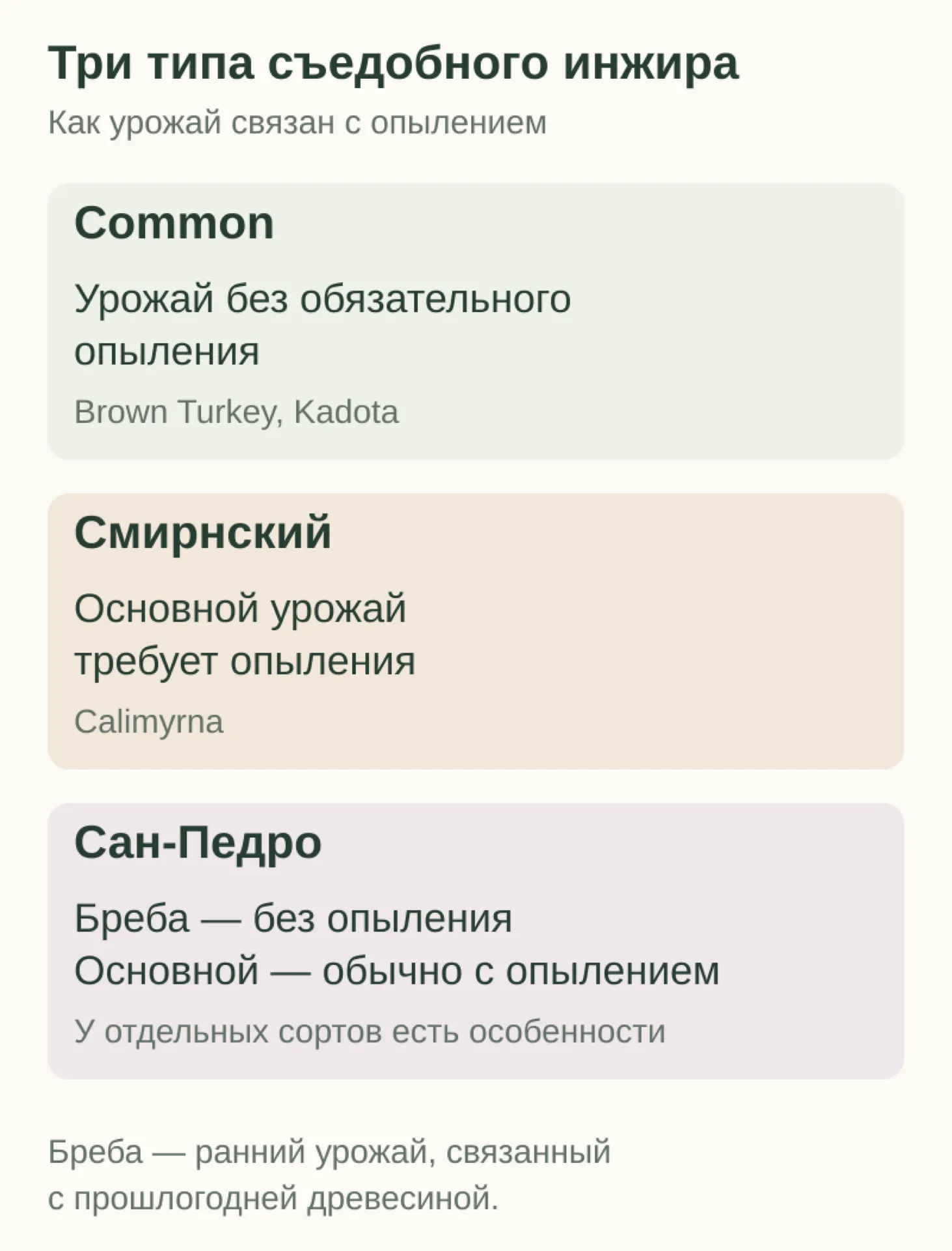 Три садоводческих типа инжира: Common не требует опыления для урожая; смирнский требует для основного; Сан-Педро даёт бребу без опыления, а основной урожай обычно после опыления