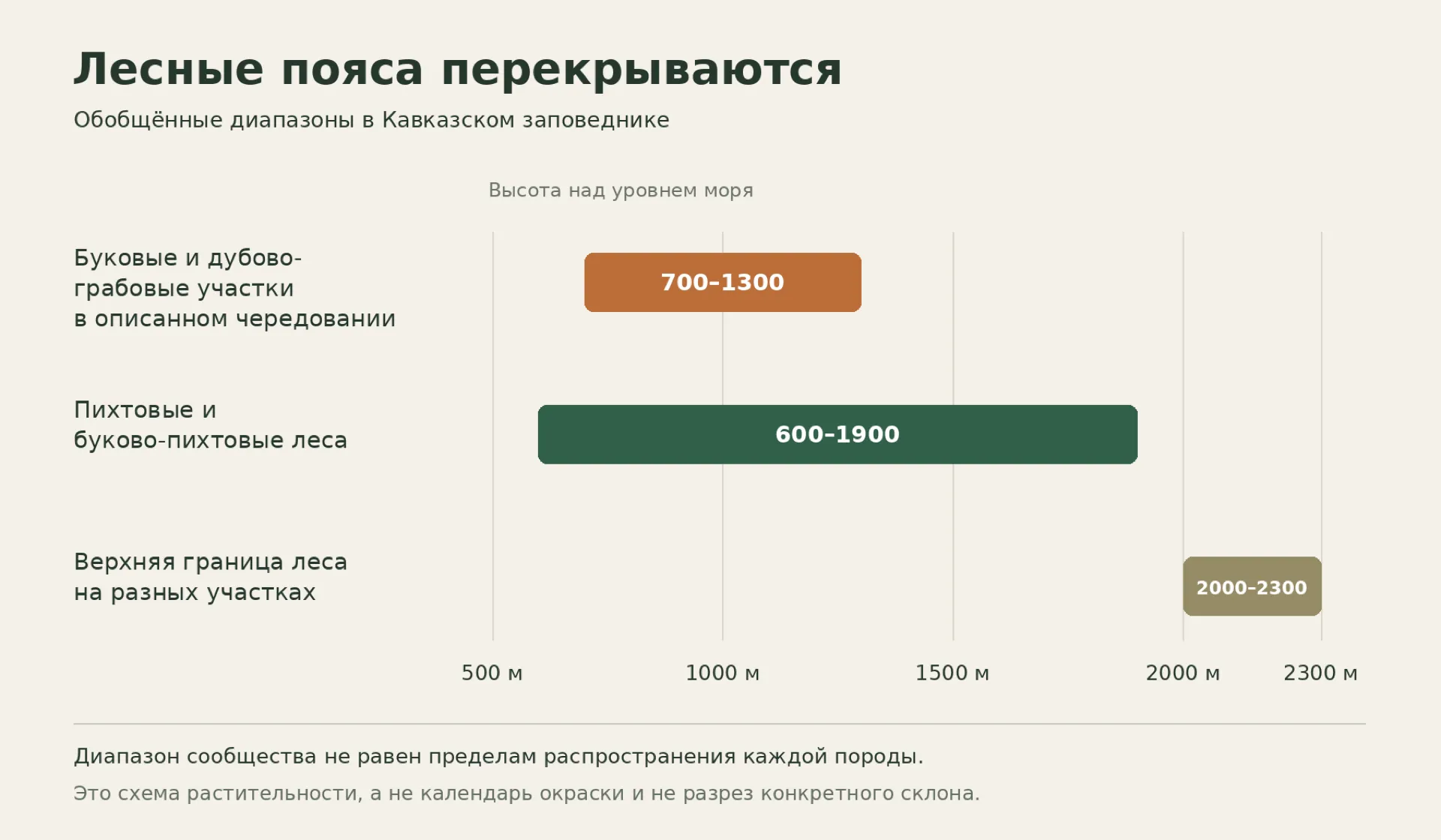 Схема перекрывающихся высотных диапазонов лесных сообществ Кавказского заповедника, без календарных дат