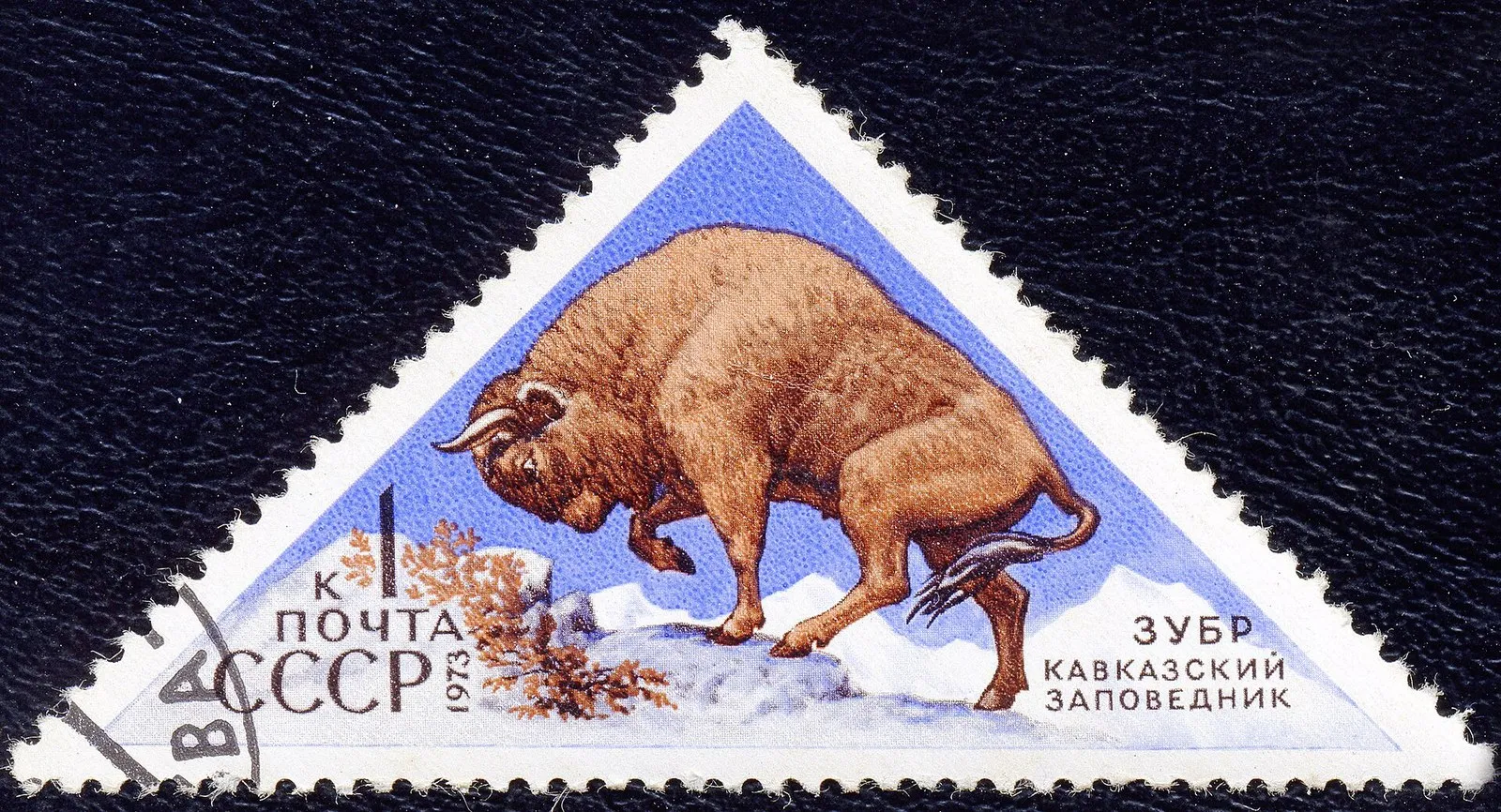 Почтовая марка СССР 1973 года «Зубр. Кавказский заповедник»