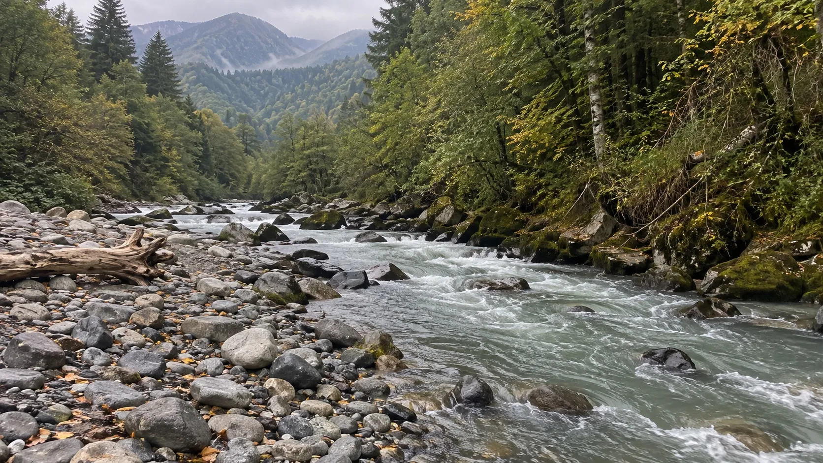 Безымянная горная река: быстрая серо-зелёная вода и галька величиной с кулак (сгенерированный кадр)
