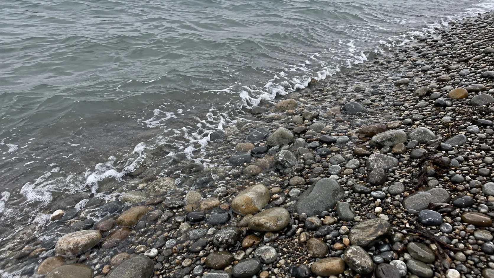 Иллюстрация: мокрая галька у кромки серо-зелёной воды