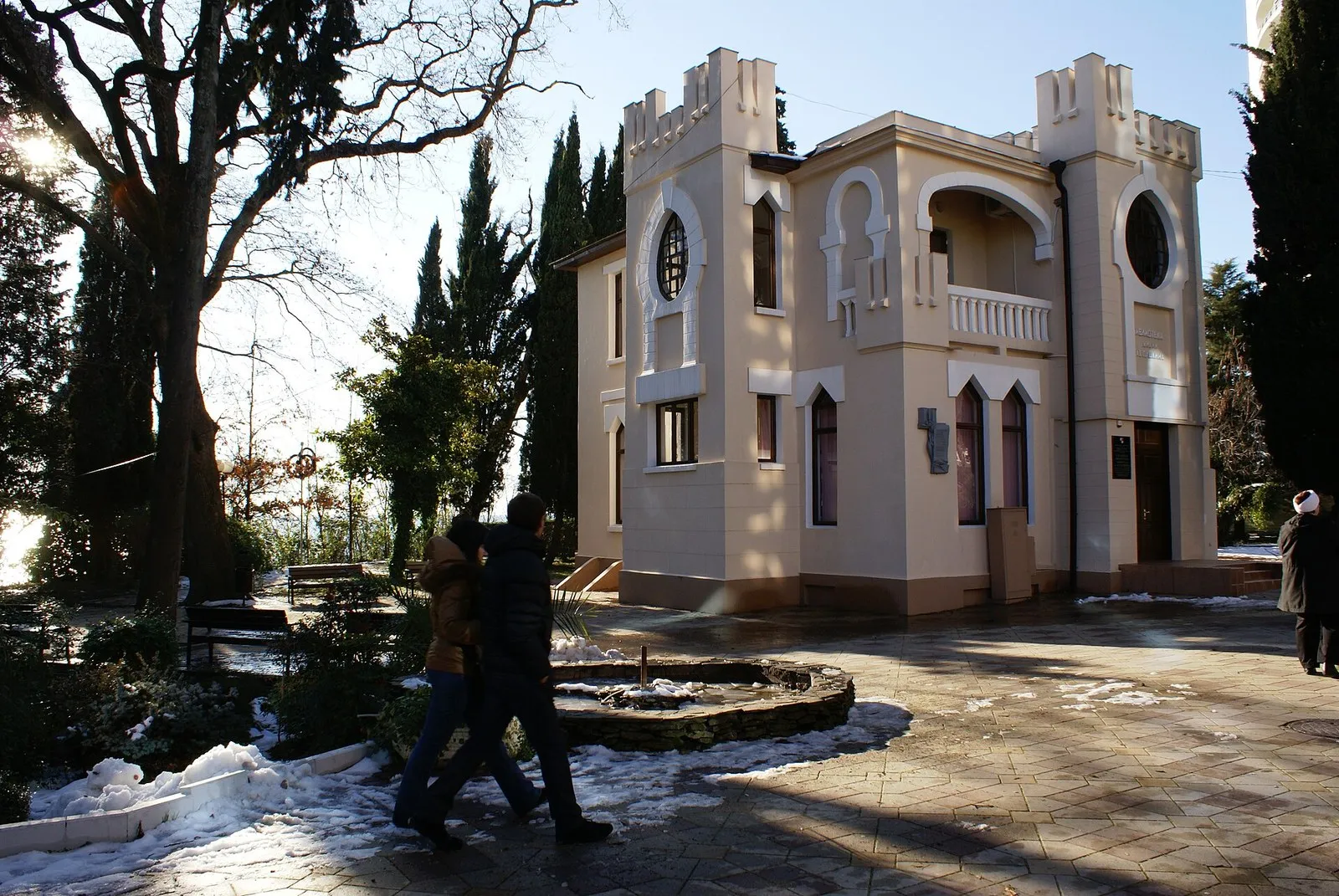 Библиотека зимой, февраль 2012 года, за несколько месяцев до столетия здания