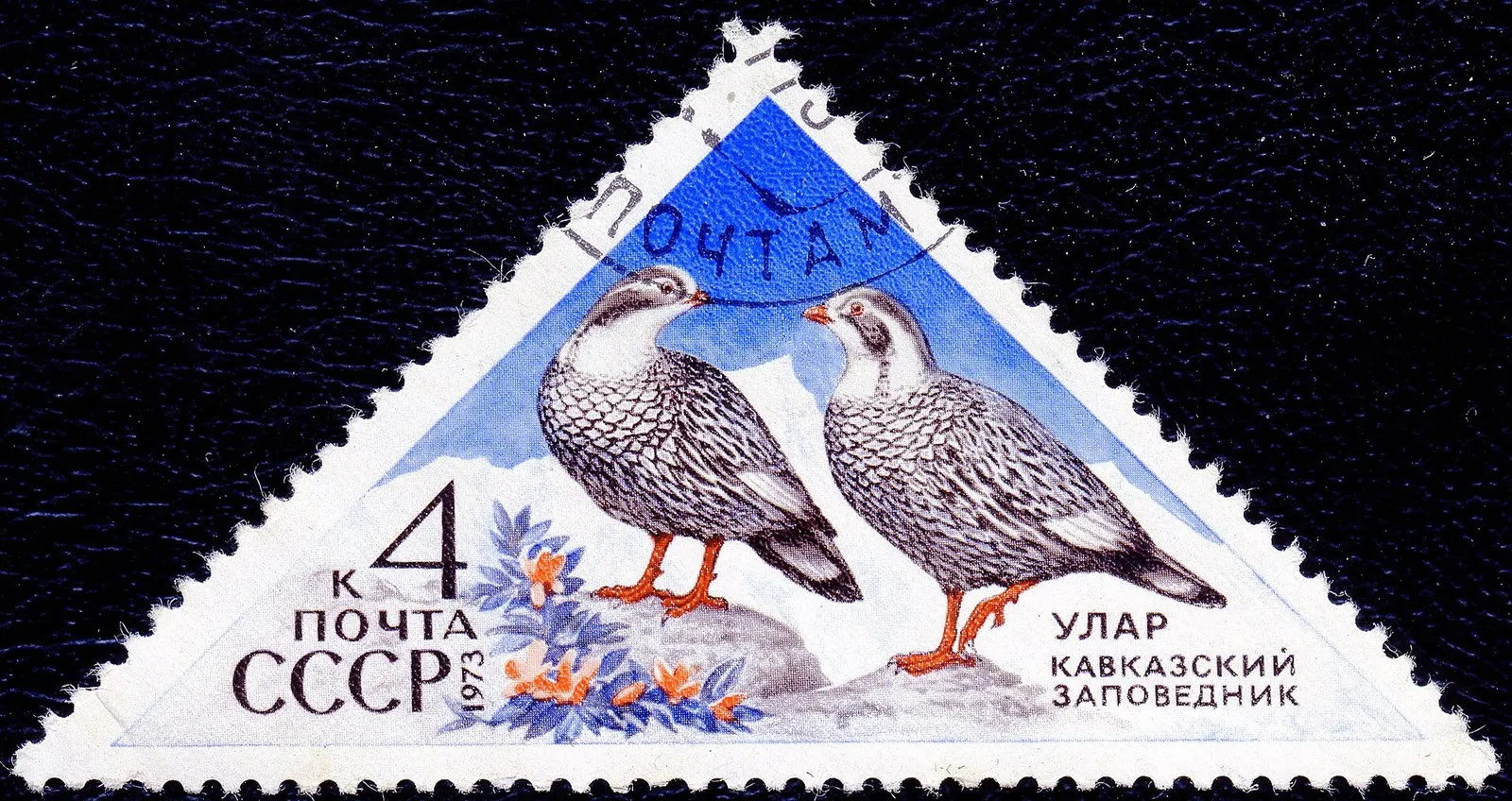 Почтовая марка СССР 1973 года «Улар. Кавказский заповедник»