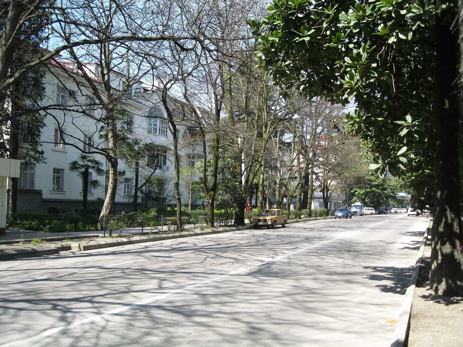 Улица Гагарина в Сочи, весна
