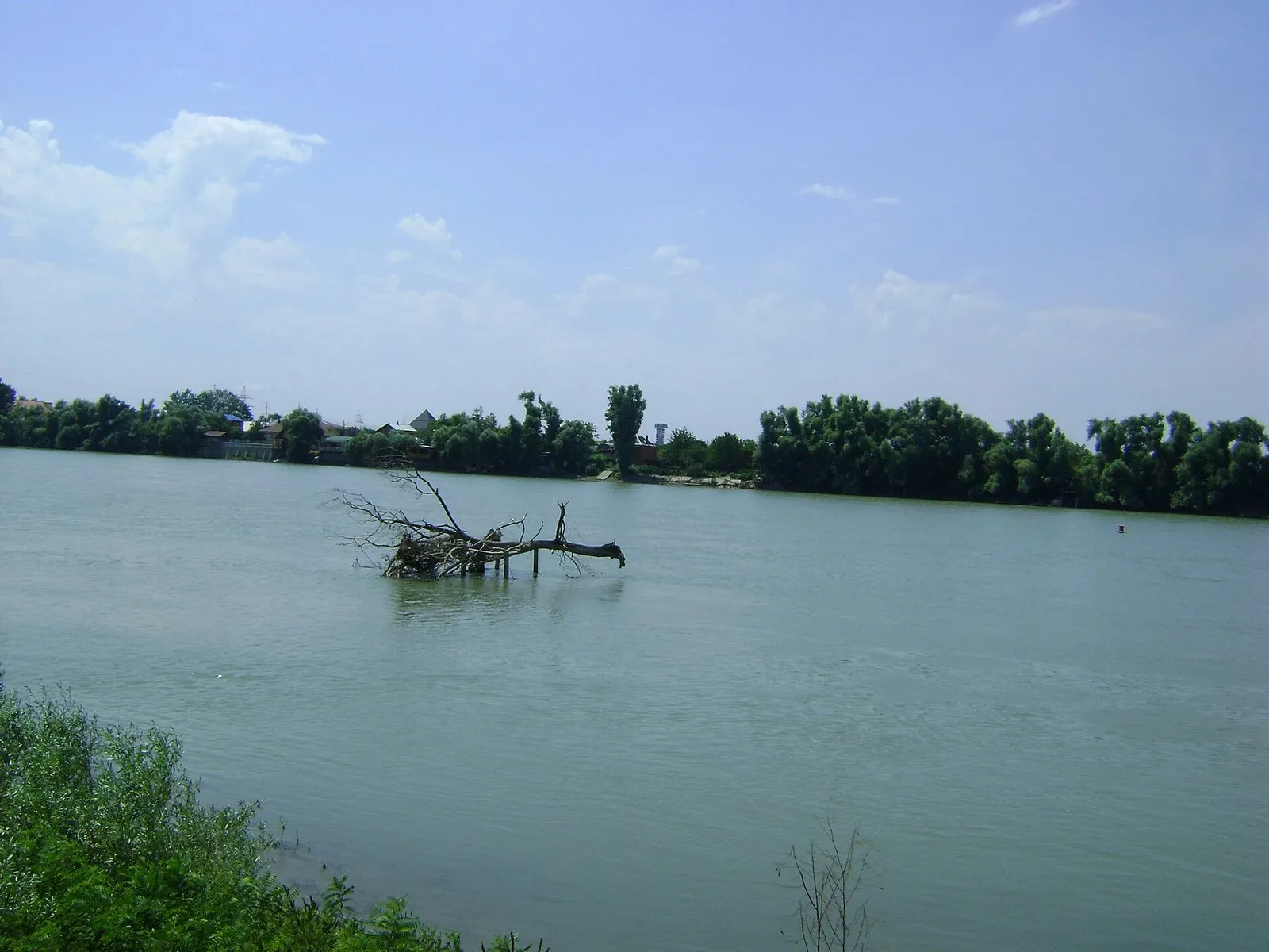Кубань в черте Краснодара: широкая серо-зелёная вода