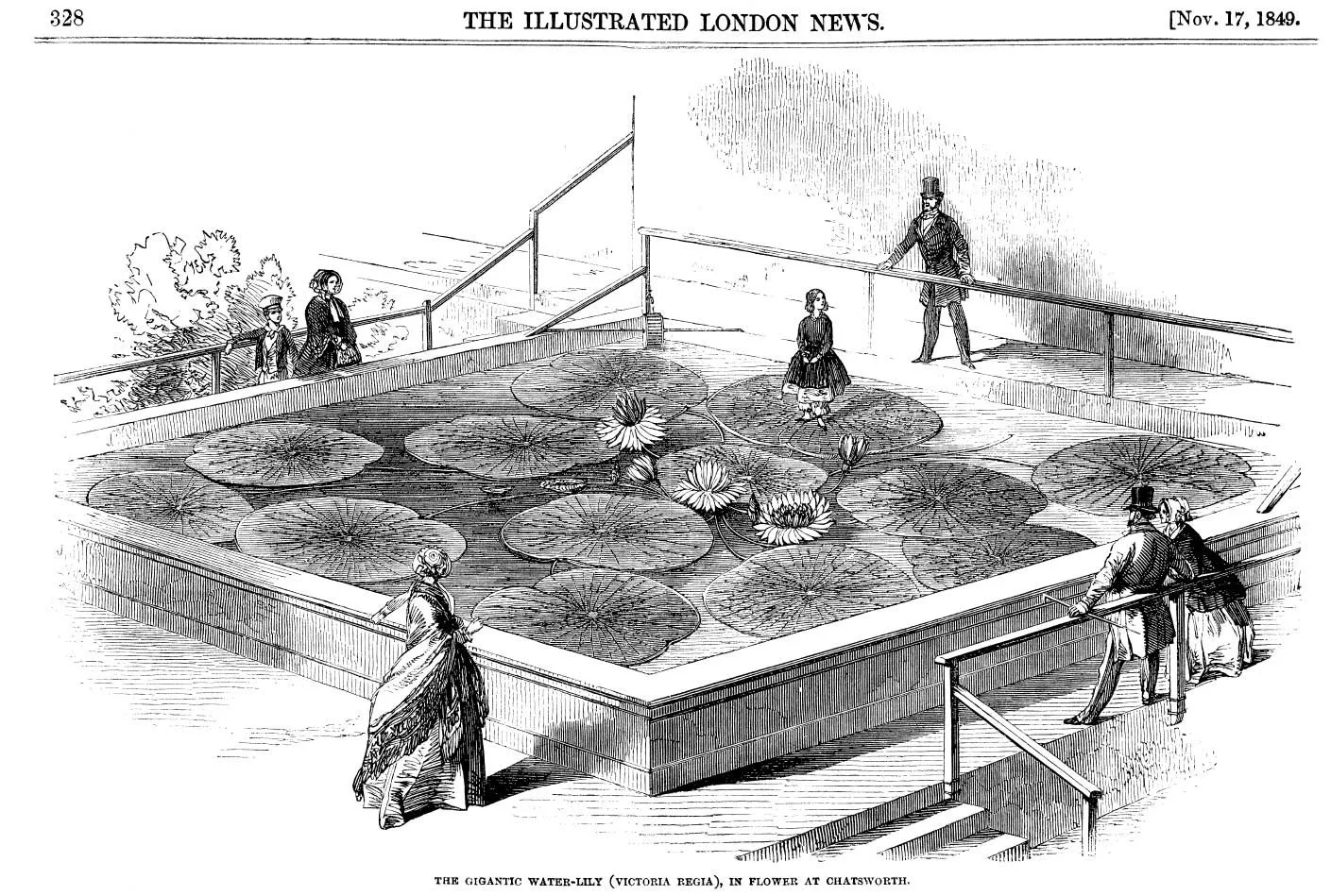 Гравюра Illustrated London News от 17 ноября 1849 года: Виктория в оранжерее Чатсуорта, на листе стоит девочка