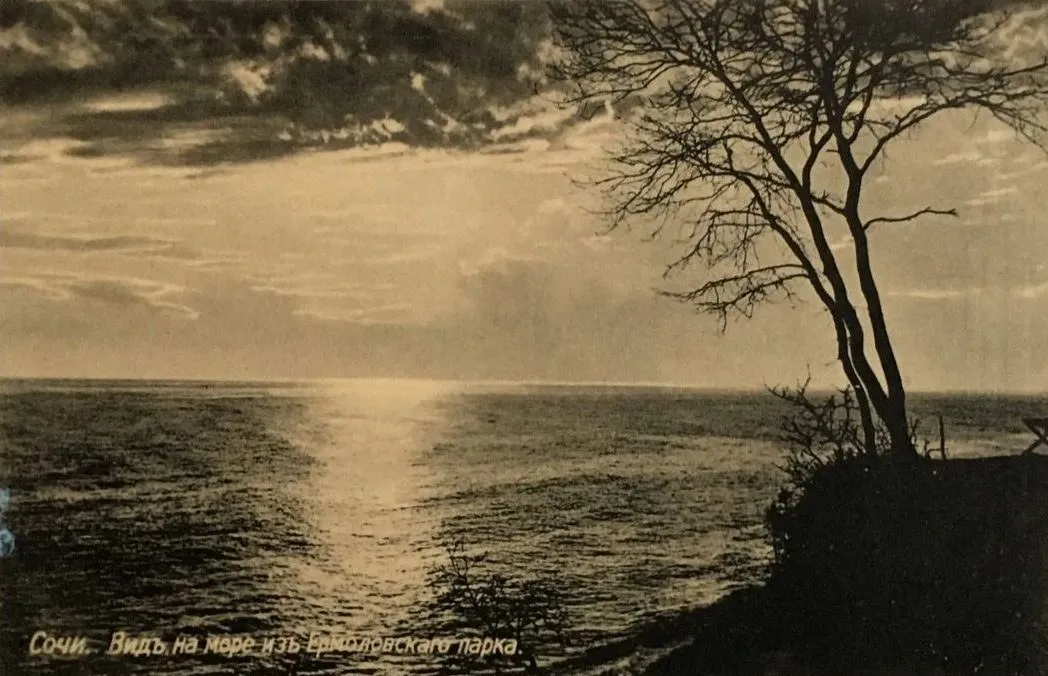 Вид на море из Ермоловского парка, открытка до 1917 года