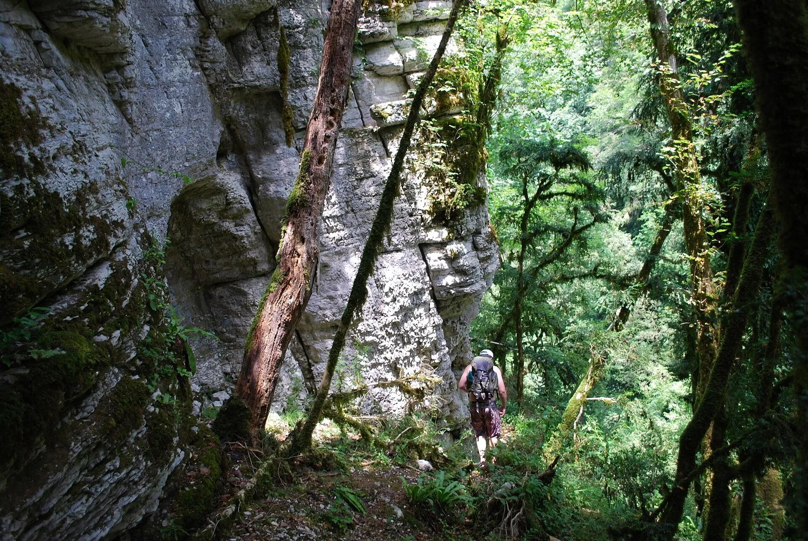 Известняковая стена Кудепстинского каньона и тропа внизу