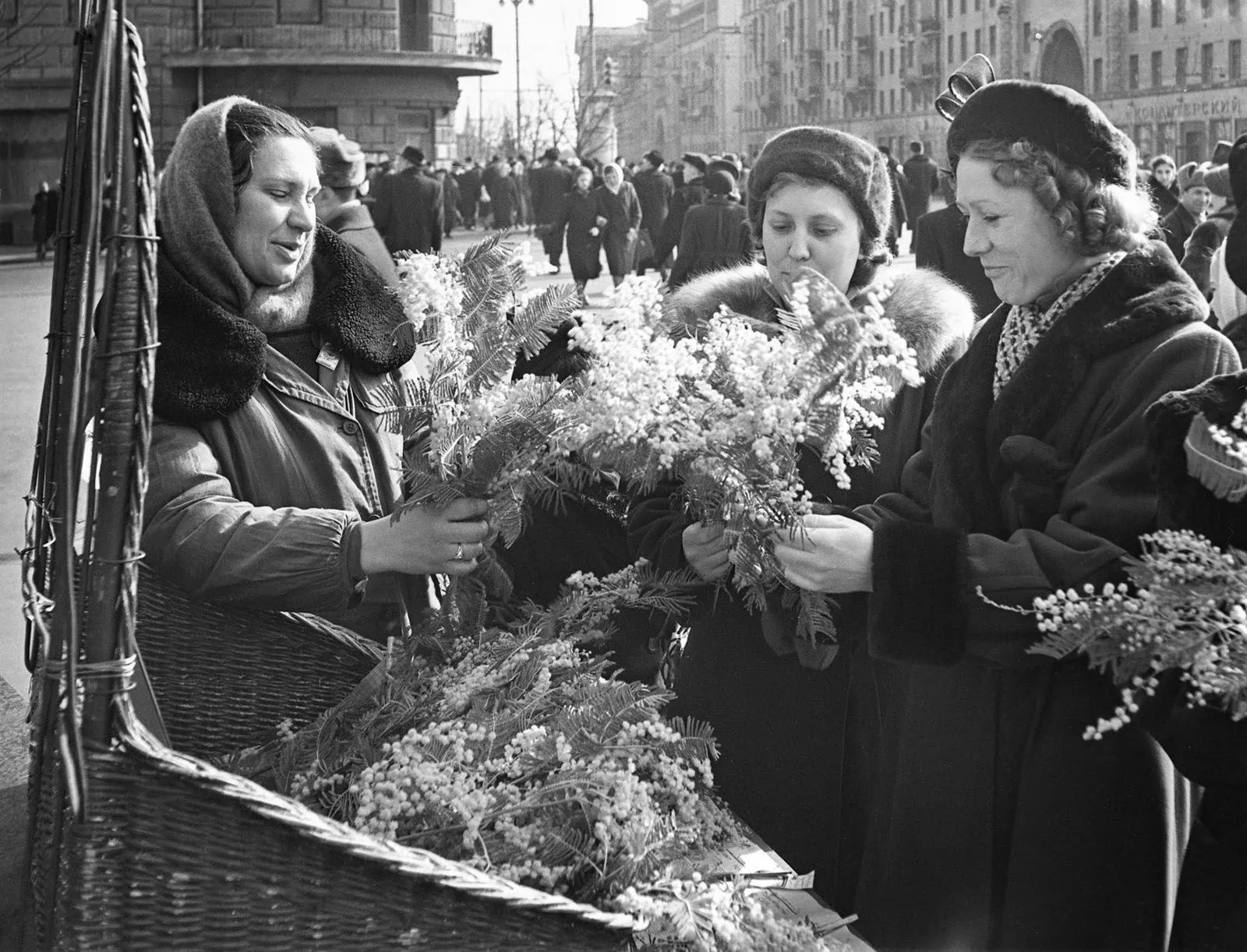 Москвички выбирают ветки у уличной корзины, улица Горького, Москва, март 1956 года