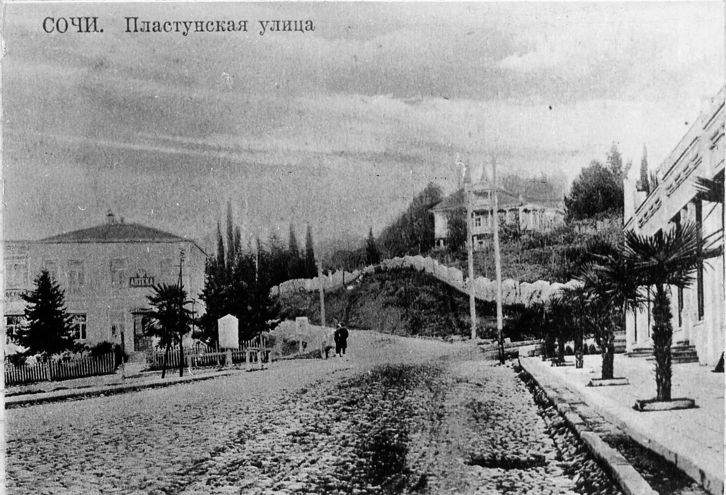 Пластунская улица в Сочи на открытке 1910-х годов: дорога без асфальта, столбы и пальмы вдоль тротуара