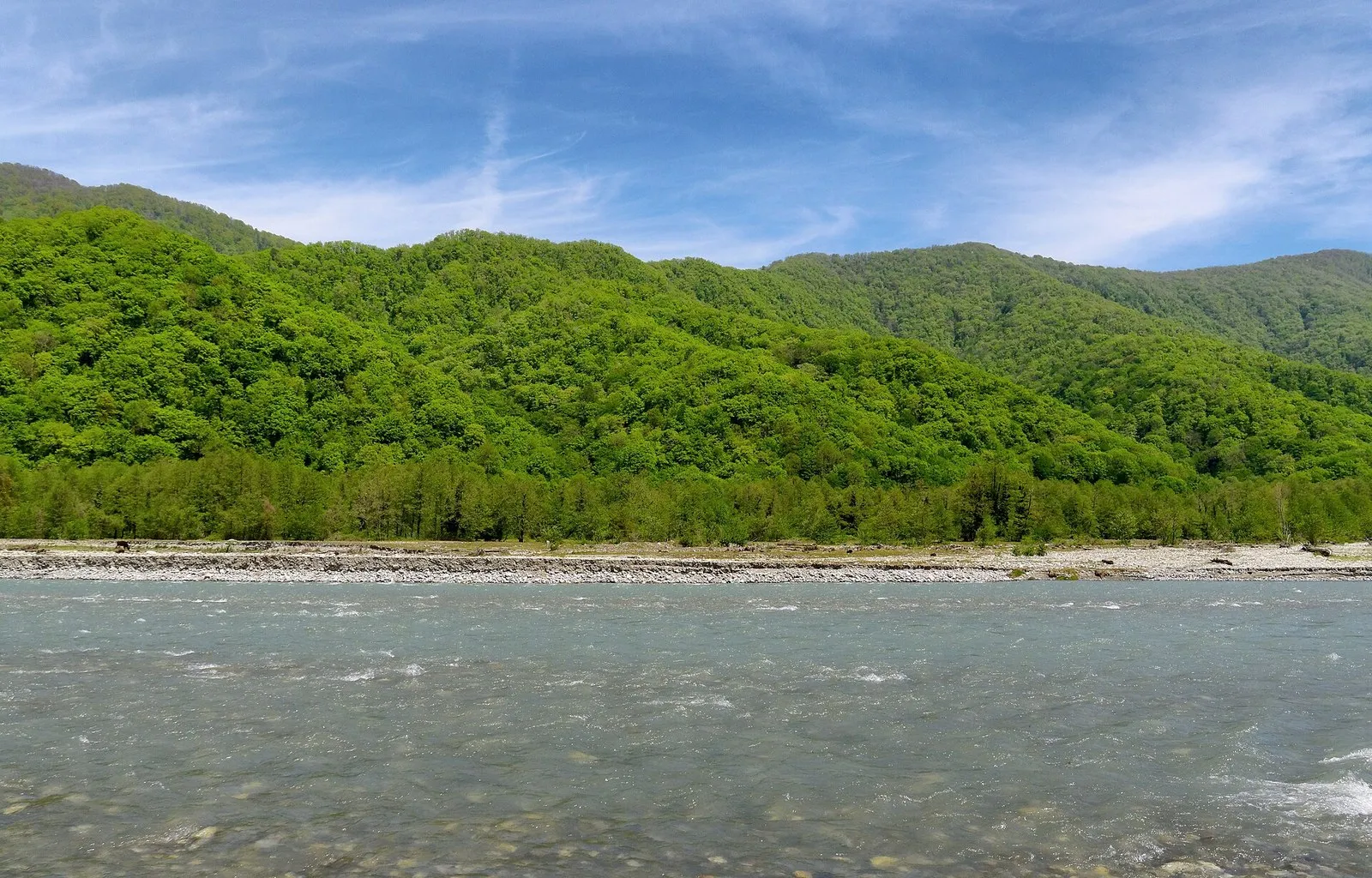 Река Шахе: быстрая вода у галечного берега и лесистые склоны долины
