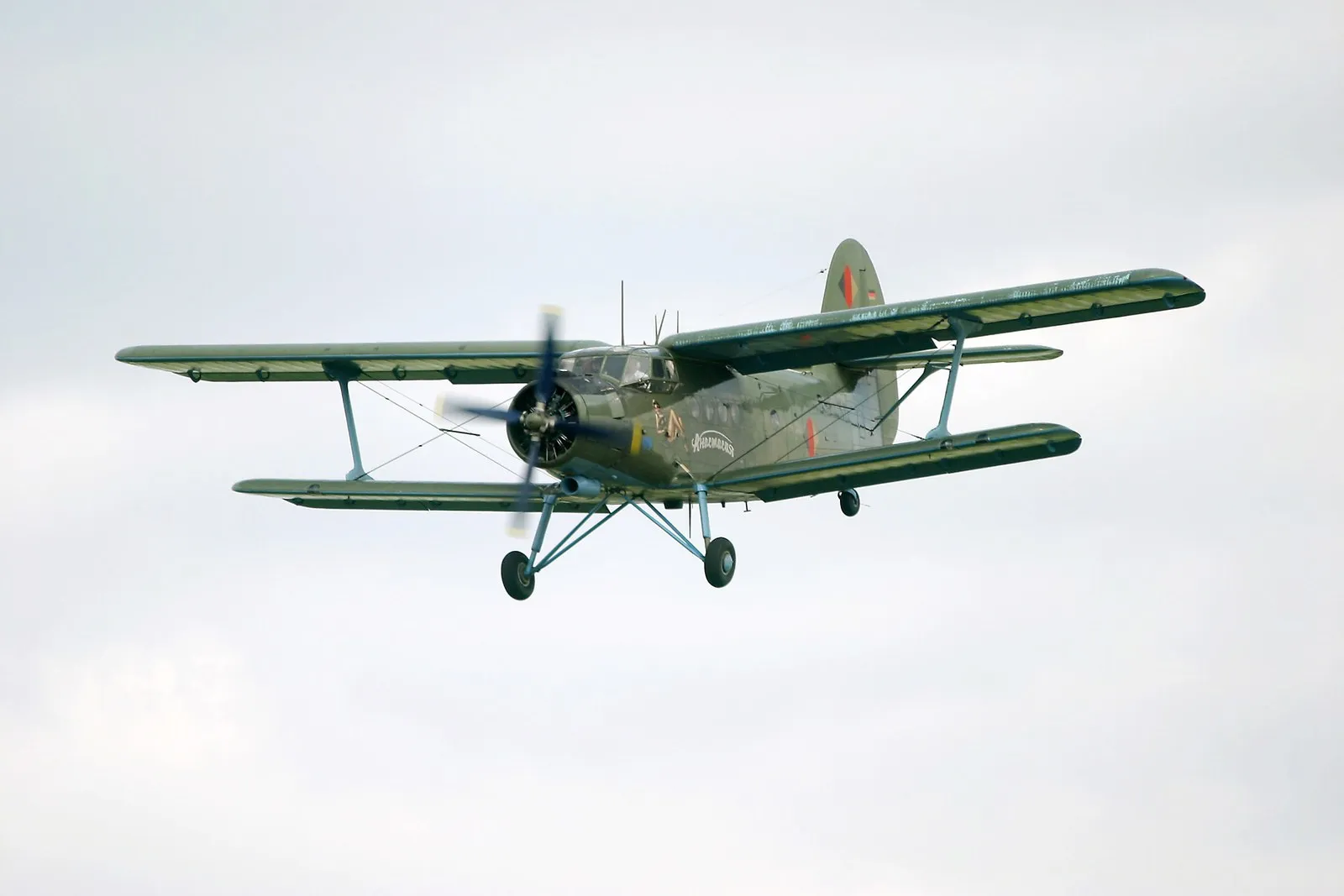 Ан-2 в полёте, авиасалон ILA, Германия, 2004 год. В Псху летает такой же тип самолёта