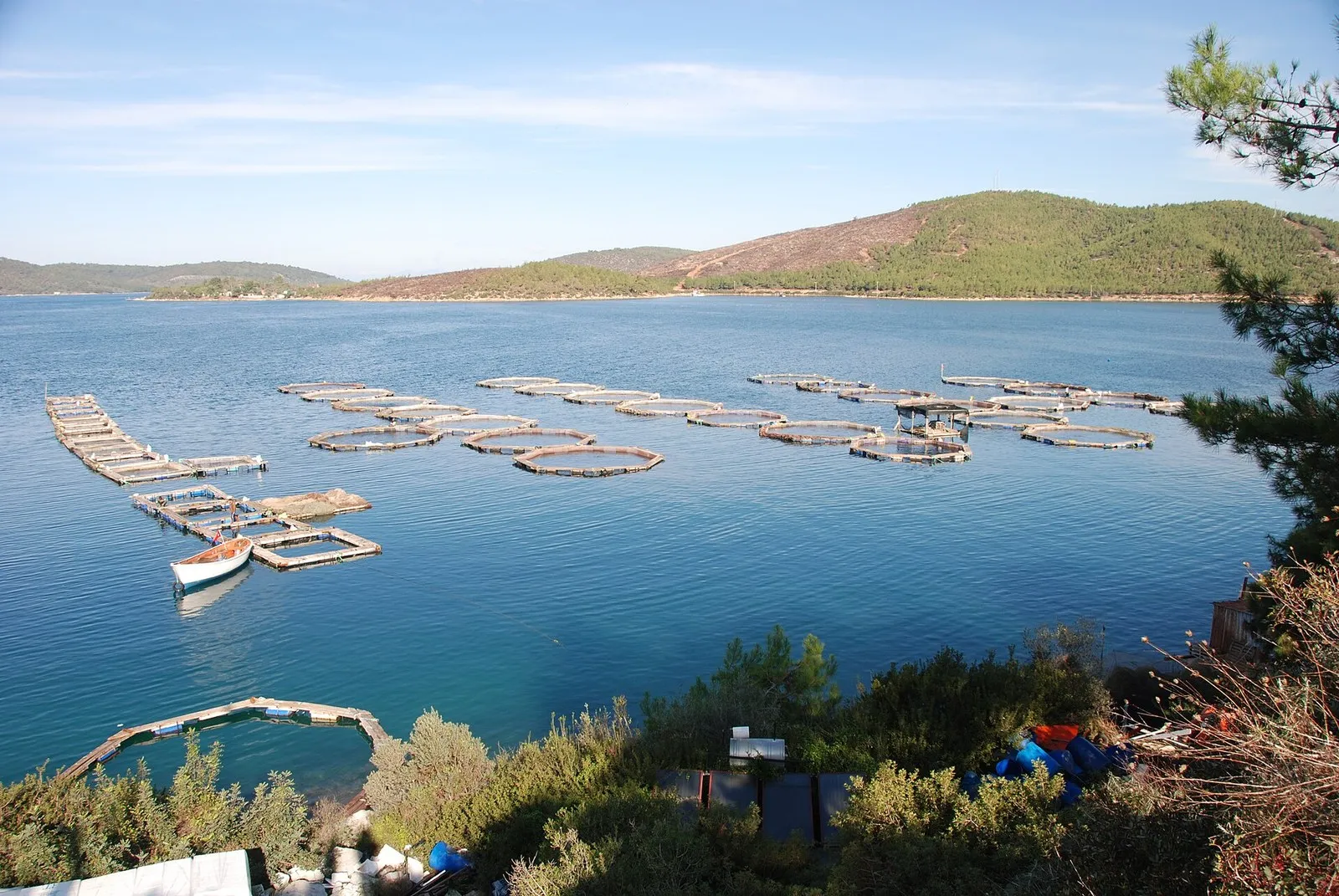 Садки для рыбы в бухте на побережье Эгейского моря в Турции