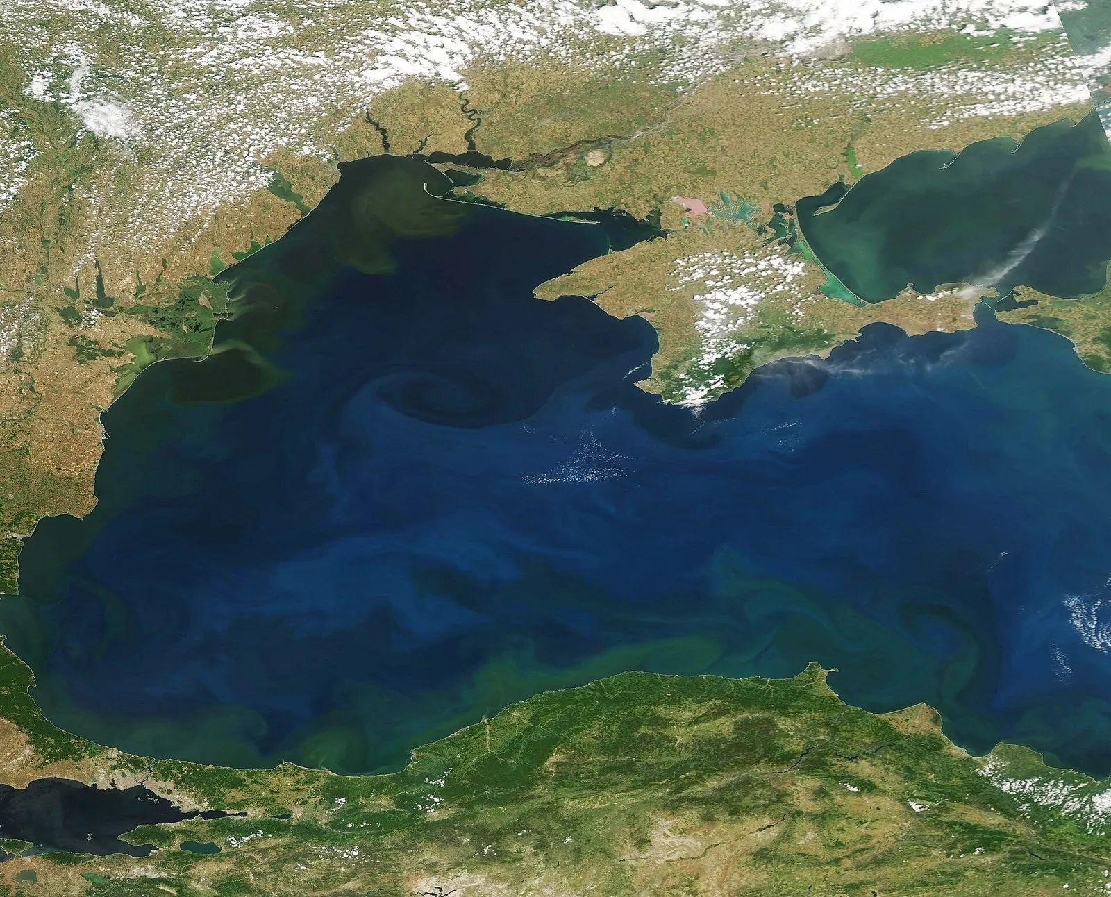 Чёрное море со спутника в конце июня 2023 года: светло-голубые разводы цветущего планктона закручены вихрями