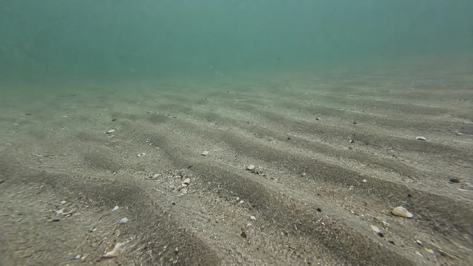Песчаное дно в серо-зелёной воде. Сгенерированная иллюстрация, не снимок с места