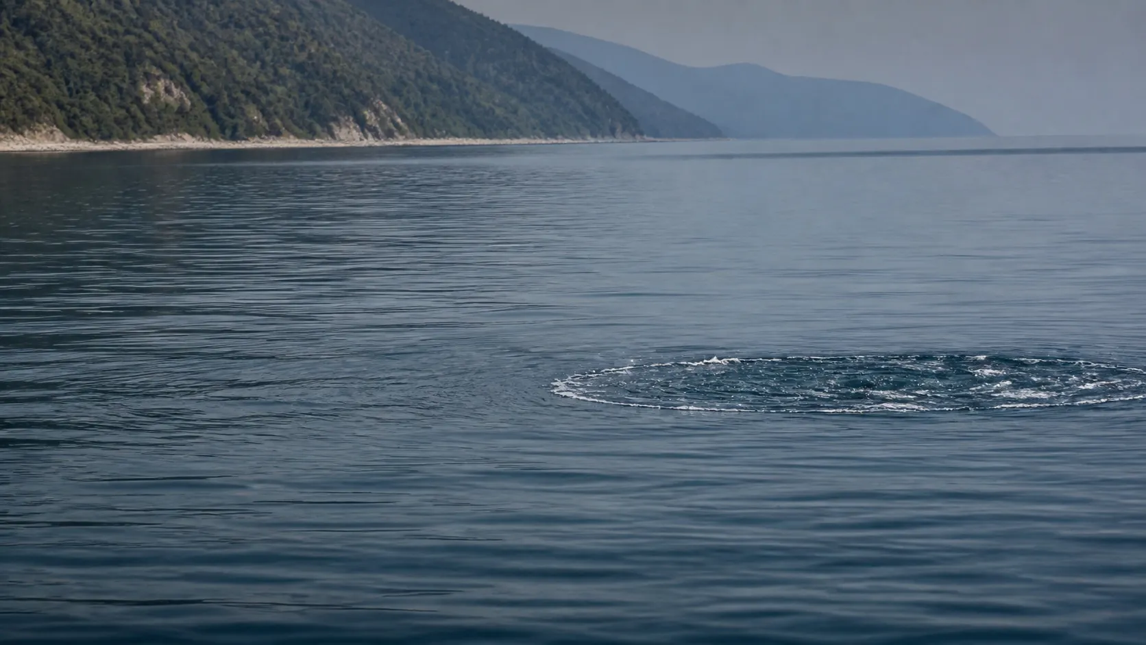 Пятно кипящей воды на спокойном море — снизу идёт косяк