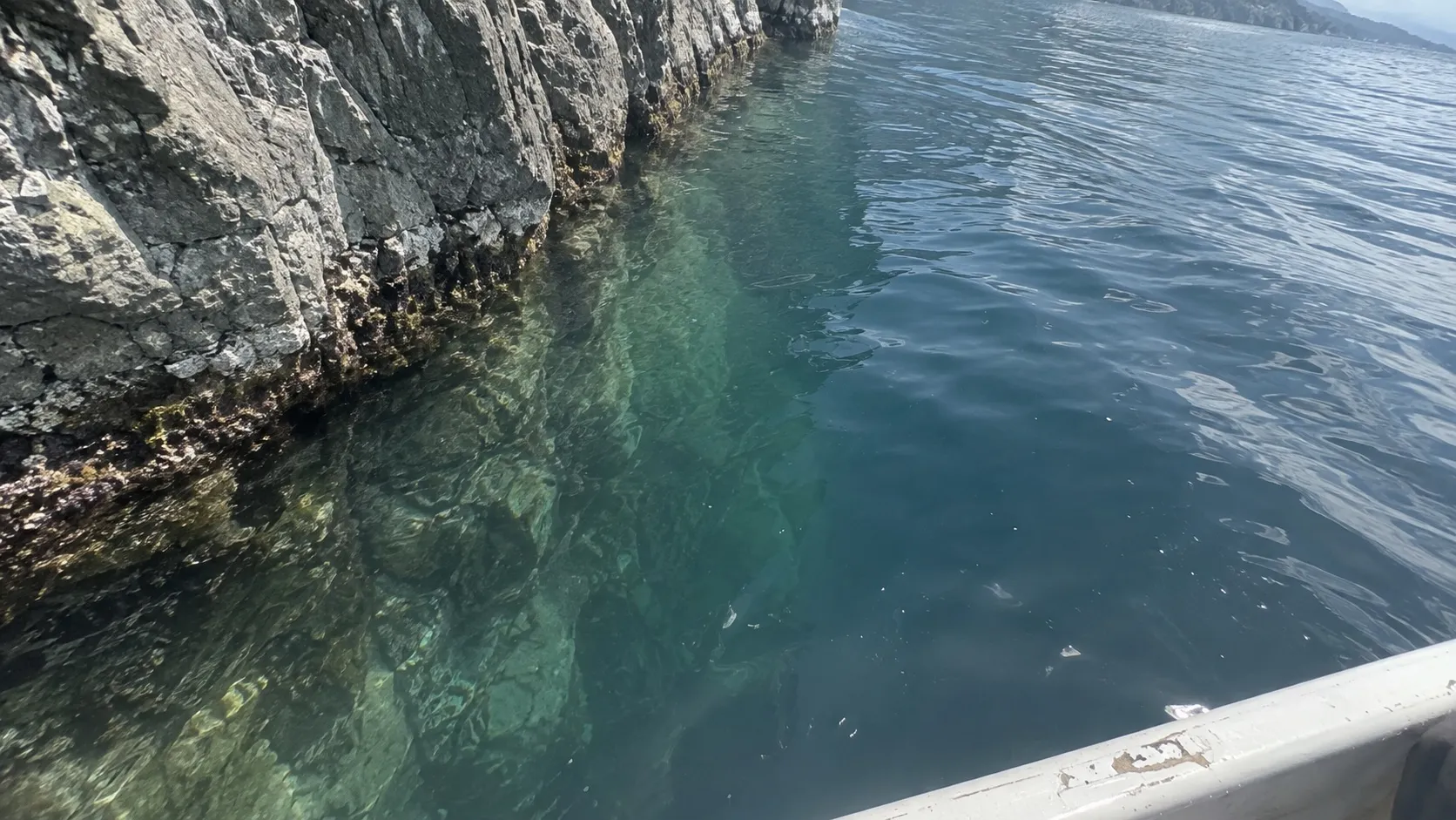 У крутого известнякового берега дно обрывается сразу: скала уходит под воду и через несколько метров тонет в темноте
