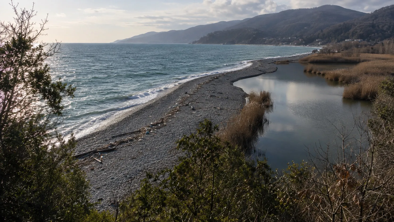 Озеро за узкой галечной косой: с моря прибой, а по другую сторону тихая вода в тростнике — такие водоёмы и держат зимующих уток