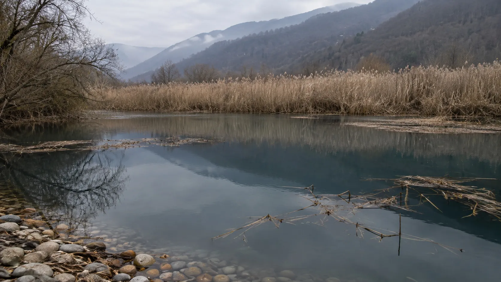 Зимний пруд в кольце сухого тростника под горами — на воде ни одной птицы