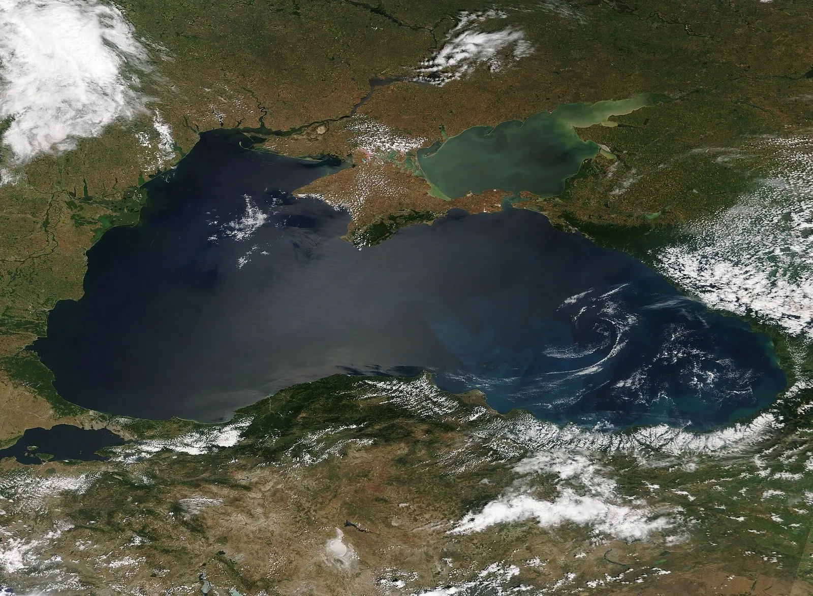 Чёрное море со спутника Terra 11 июня 2018 года, кавказский берег справа, вдоль гор. На цветном снимке холодных пятен не видно: апвеллинги ищут по тепловым каналам спутников (фото: Jeff Schmaltz, MODIS Land Rapid Response Team, NASA GSFC, Wikimedia Commons, Public domain)