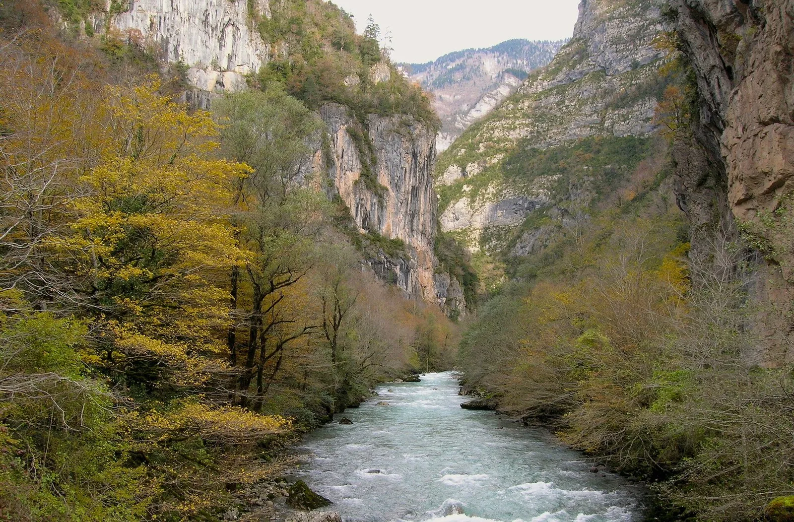 Известняковые стены ущелья Бзыби: дождевая вода проходит такой камень насквозь и выходит на склонах (фото: angelius1979, Wikimedia Commons, CC BY 3.0)