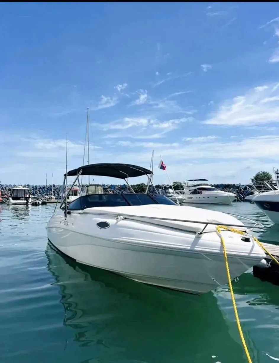 Недорогой катер Rinker в аренду в Сочи